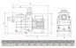 Preview: Filterpumpe America, 17 m³/h, 230 V, 0,75 kW (Salzwasser Fähig)
